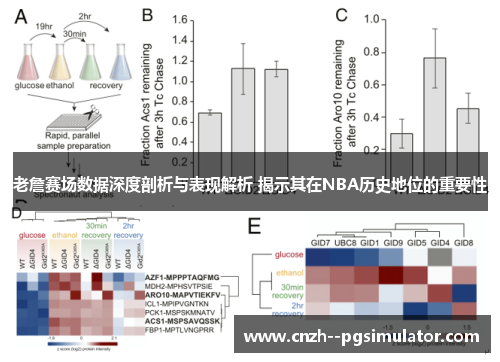 老詹赛场数据深度剖析与表现解析 揭示其在NBA历史地位的重要性