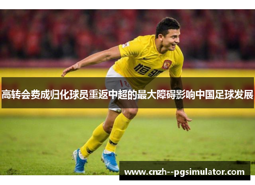 高转会费成归化球员重返中超的最大障碍影响中国足球发展 高转会费成归化球员重返中超的最大障碍影响中国足球发展