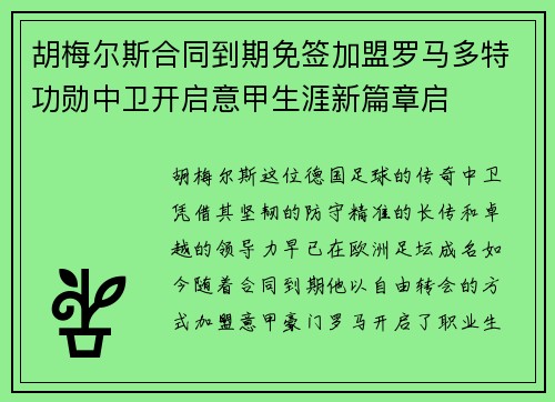 胡梅尔斯合同到期免签加盟罗马多特功勋中卫开启意甲生涯新篇章启 胡梅尔斯合同到期免签加盟罗马多特功勋中卫开启意甲生涯新篇章启