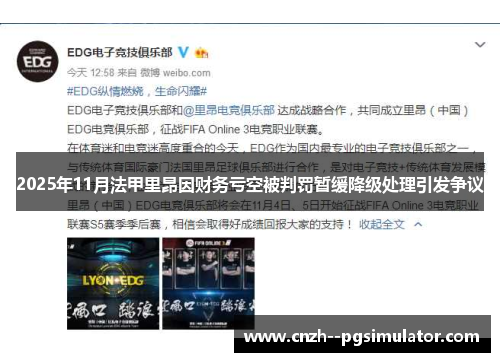 2025年11月法甲里昂因财务亏空被判罚暂缓降级处理引发争议 2025年11月法甲里昂因财务亏空被判罚暂缓降级处理引发争议