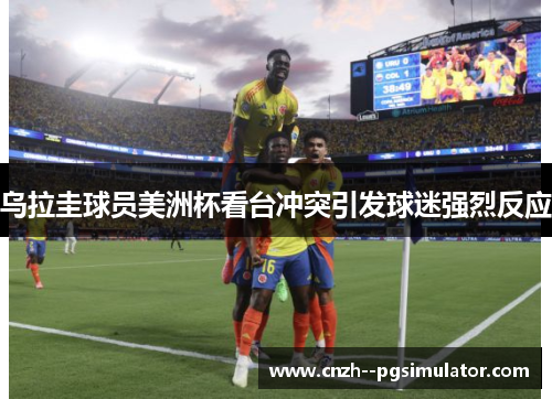 乌拉圭球员美洲杯看台冲突引发球迷强烈反应 乌拉圭球员美洲杯看台冲突引发球迷强烈反应