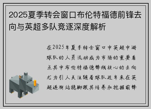 2025夏季转会窗口布伦特福德前锋去向与英超多队竞逐深度解析 2025夏季转会窗口布伦特福德前锋去向与英超多队竞逐深度解析