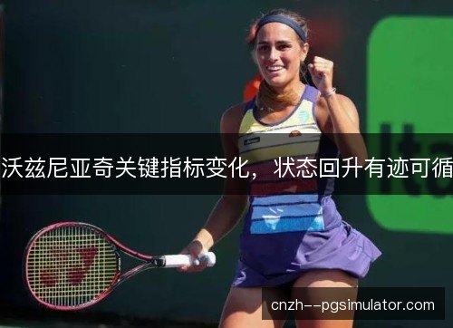 沃兹尼亚奇关键指标变化,状态回升有迹可循 沃兹尼亚奇关键指标变化,状态回升有迹可循
