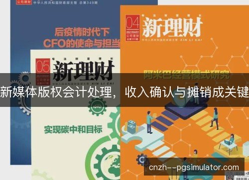 新媒体版权会计处理，收入确认与摊销成关键